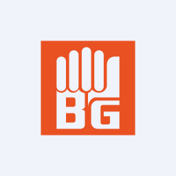 Bedmutha Industries Limited logo