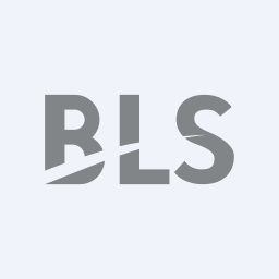 BLS E-Services Limited logo