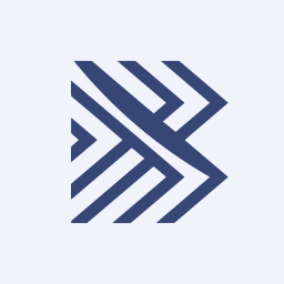 Borana Weaves Limited logo