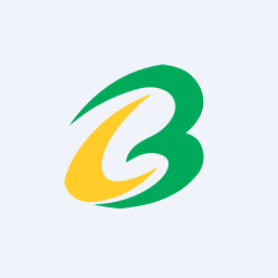 Brace Port Logistics Limited logo