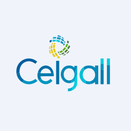 Ceigall India Limited logo