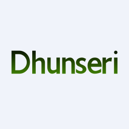 Dhunseri Investments Limited logo