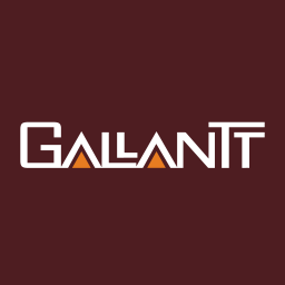 Gallantt Ispat Limited logo