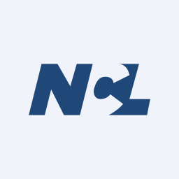 Nandani Creation Limited logo