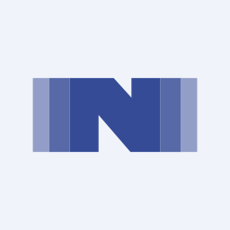 Nitin Spinners Limited logo