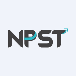 Network People Services Technologies Limited logo