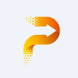Pace Digitek Limited logo