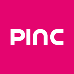 Pioneer Investcorp Limited logo