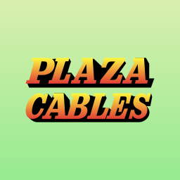 Plaza Wires Limited logo