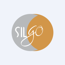 Silgo Retail Limited logo