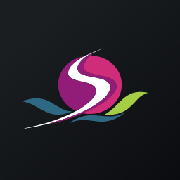 Saraswati Saree Depot Limited logo