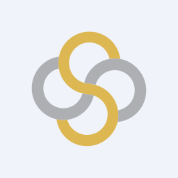 Surana Telecom and Power Limited logo