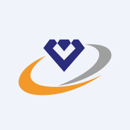 Vaibhav Global Limited logo